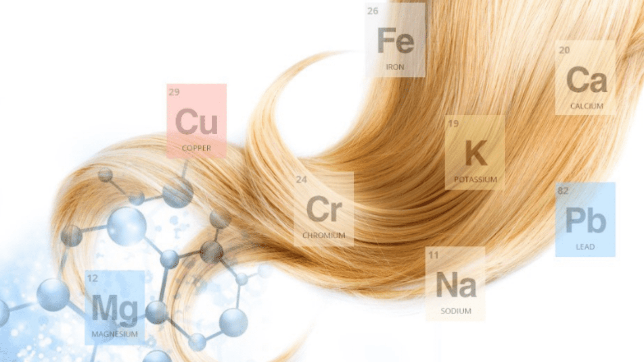 Hair and Mineral Testing